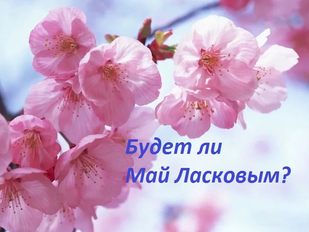 preview_image