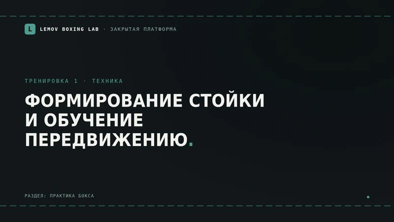 Урок 1. Формирование стойки и передвижение в стойке