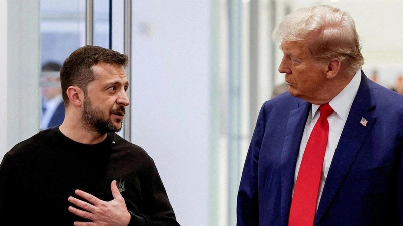 За забором политики: как встреча Трампа с Зеленским унизила последнего и Евросоюз