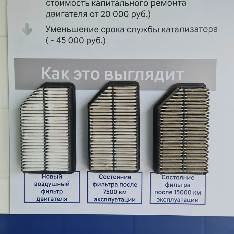 Насмотренность 5: Коридоры слов и декоративная беда