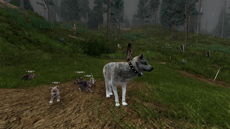 WolfQuest: Anniversary Edition (v 2.0.1, 2025): В волчьей шкуре