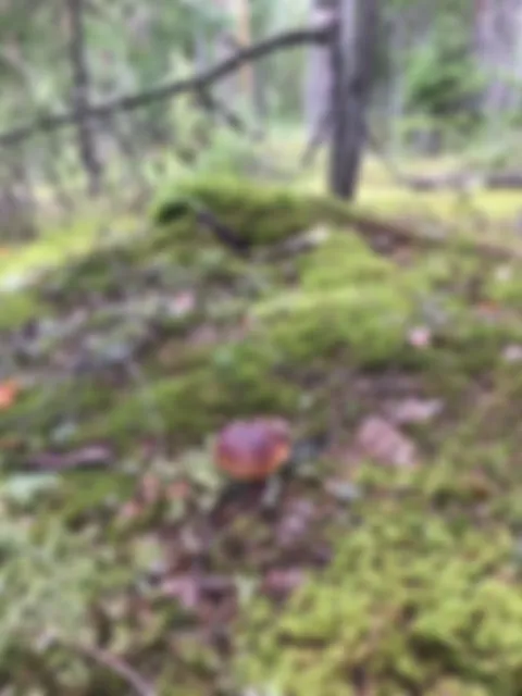 preview_image