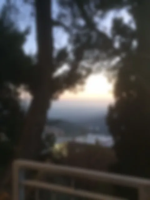 preview_image