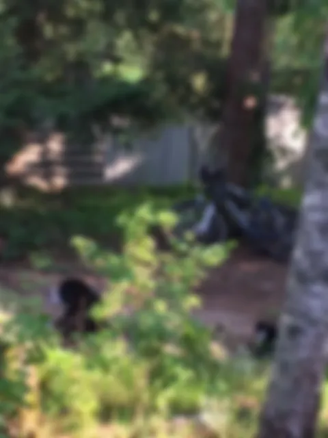preview_image
