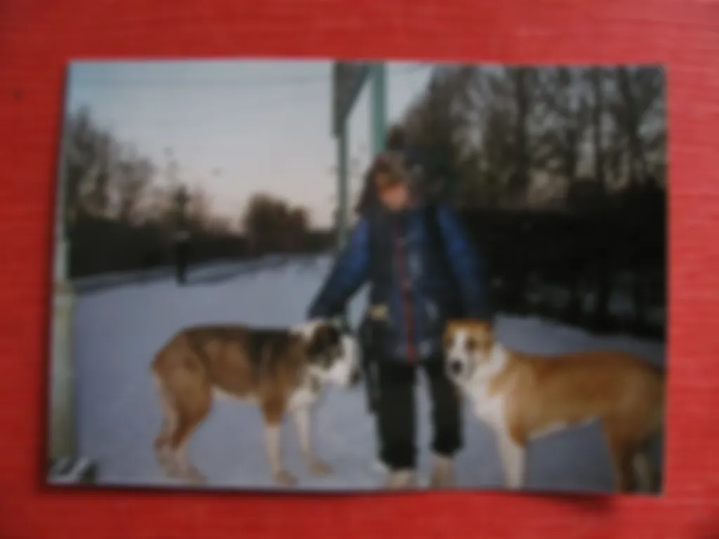 preview_image