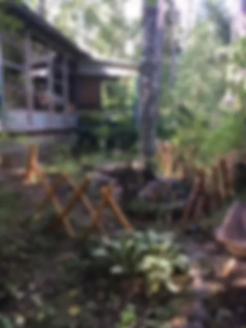preview_image