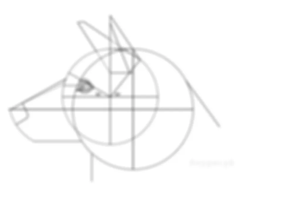 preview_image