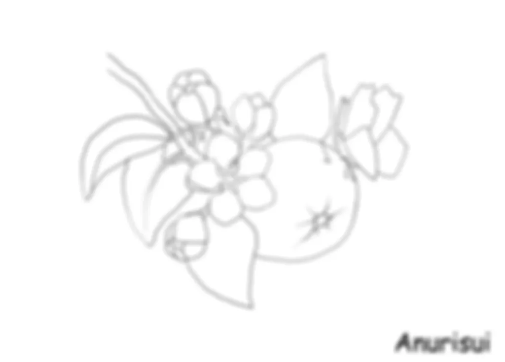 preview_image