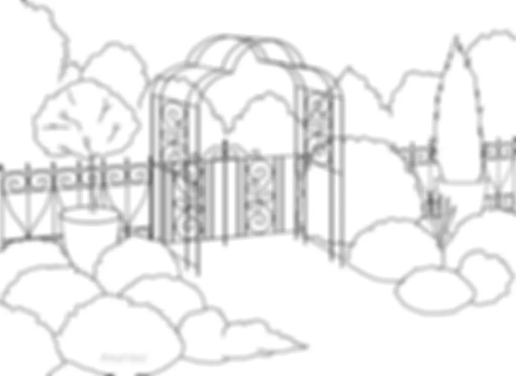 preview_image
