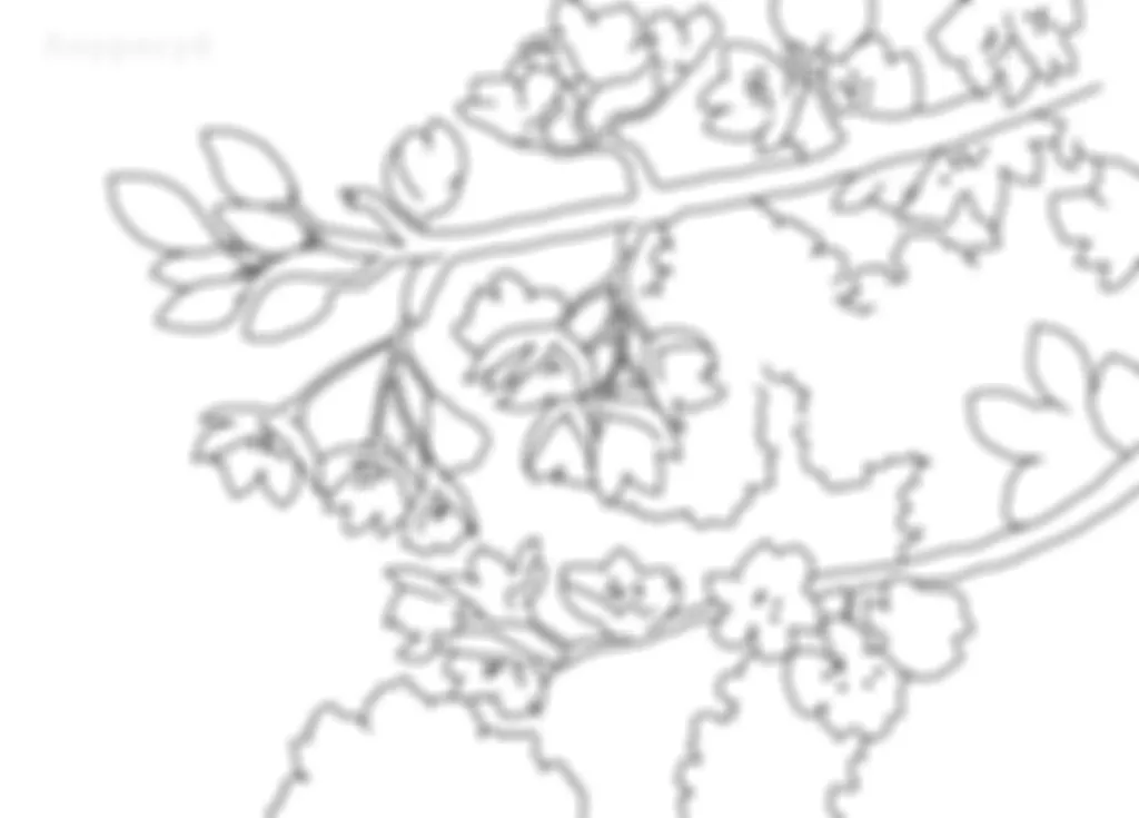 preview_image