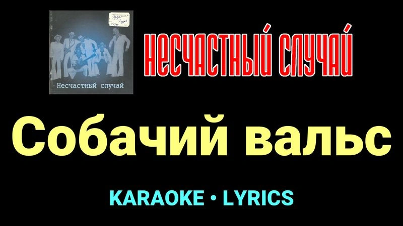 Собачий вальс ★♫★ Несчастный Случай