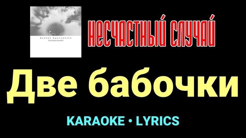 Две бабочки ★♫★ Несчастный Случай