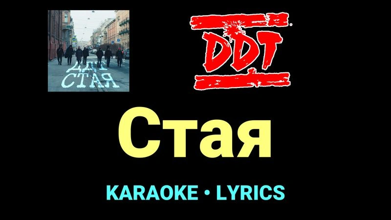 Стая ★♫★ ДДТ