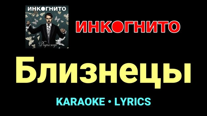 Близнецы ★♫★ Инкогнито