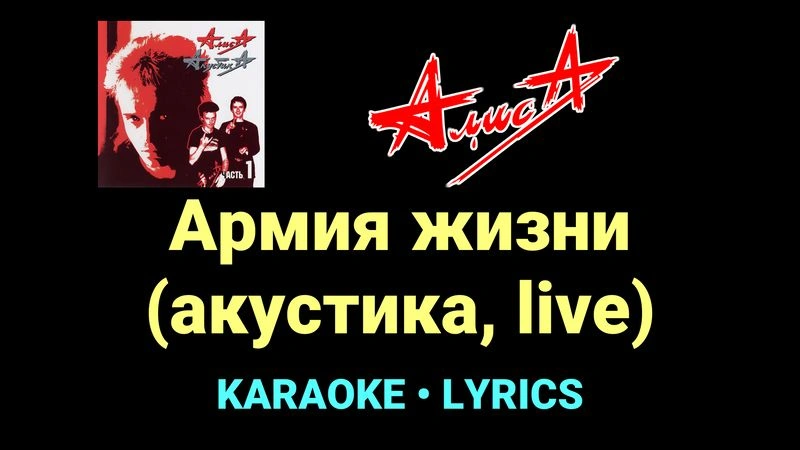 Армия жизни (акустика, live) ★♫★ АлисА