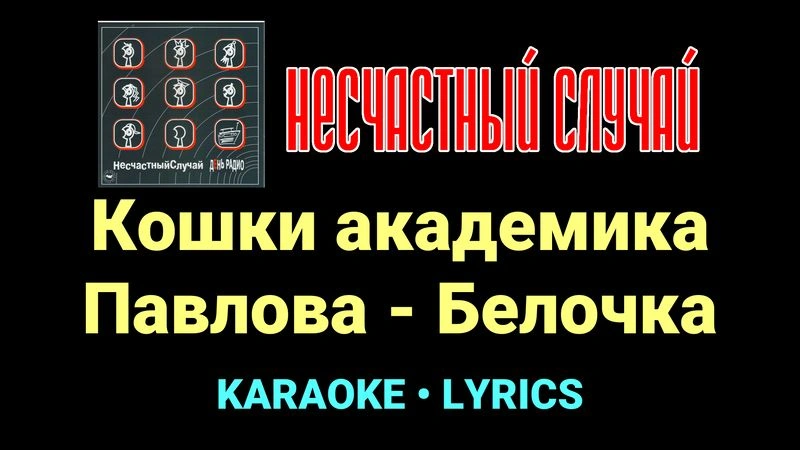Кошки академика Павлова - Белочка ★♫★ Несчастный Случай