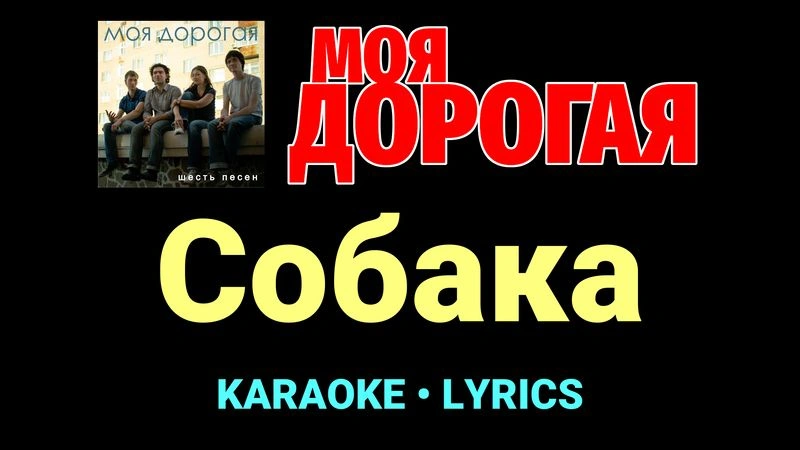 Собака ★♫★ Моя дорогая