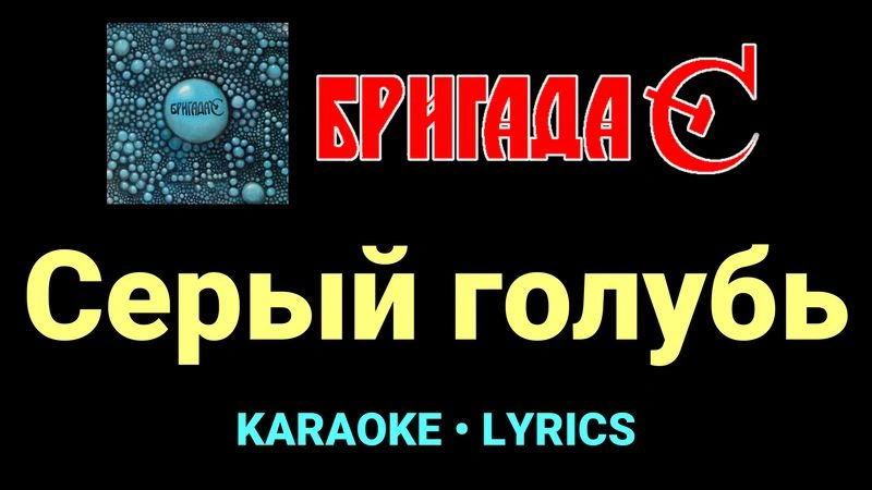 Серый голубь ★♫★ Бригада С