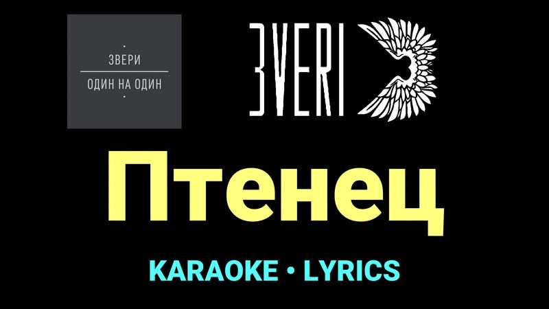 Птенец ★♫★ Звери