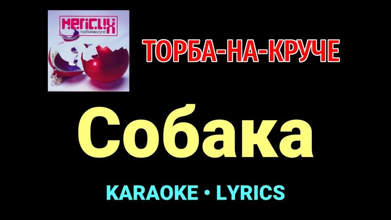 Собака ★♫★ Торба-на-Круче