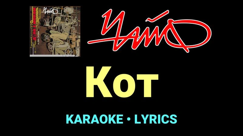 Кот ★♫★ Чайф