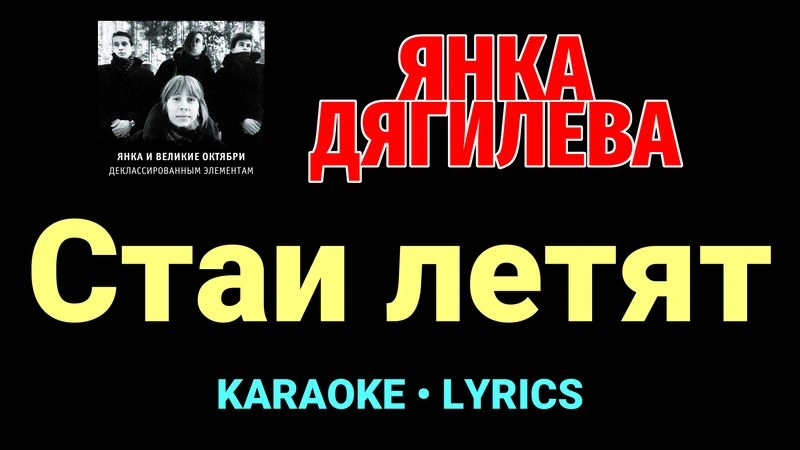 Стаи летят ★♫★ Янка Дягилева