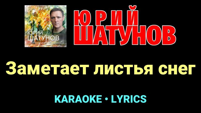 Заметает листья снег ★♫★ Юрий Шатунов