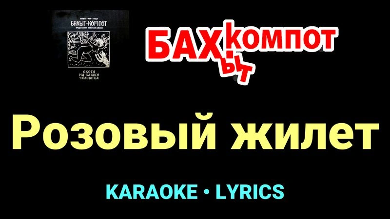 Розовый жилет ★♫★ Бахыт Компот