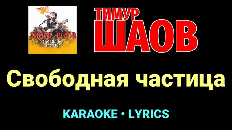 Свободная частица ★♫★ Тимур Шаов