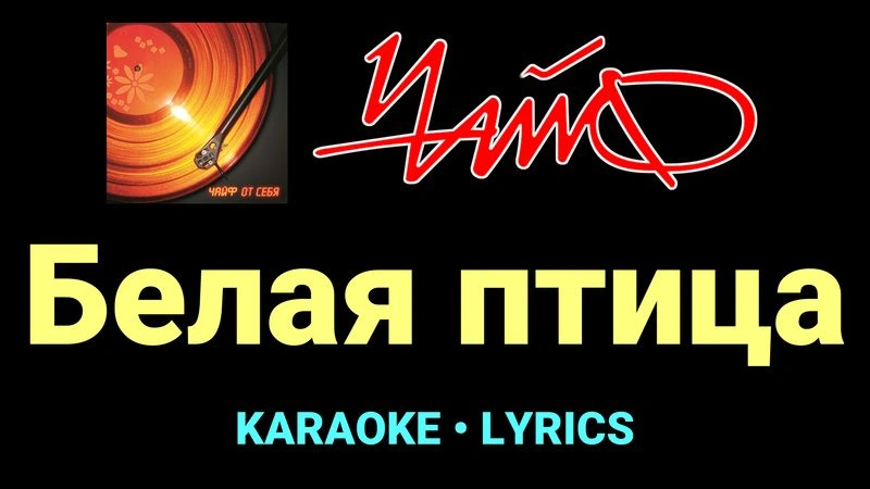 Белая птица ★♫★ Чайф