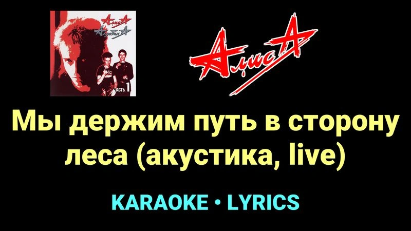 Мы держим путь в сторону леса (акустика, live) ★♫★ АлисА