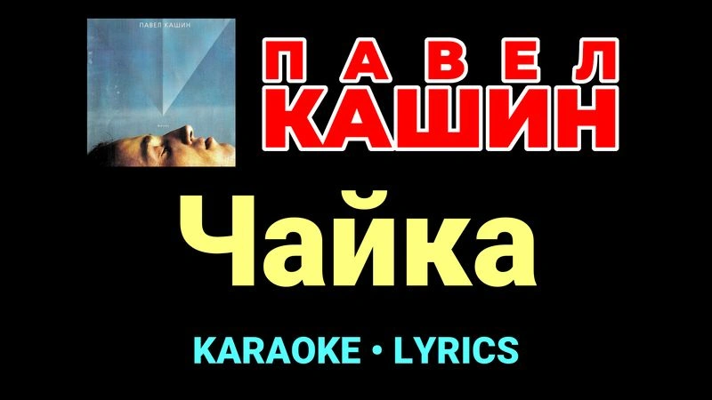 Чайка ★♫★ Павел Кашин