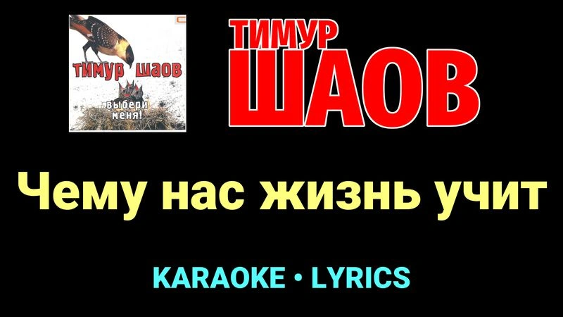 Чему нас жизнь учит ★♫★ Тимур Шаов