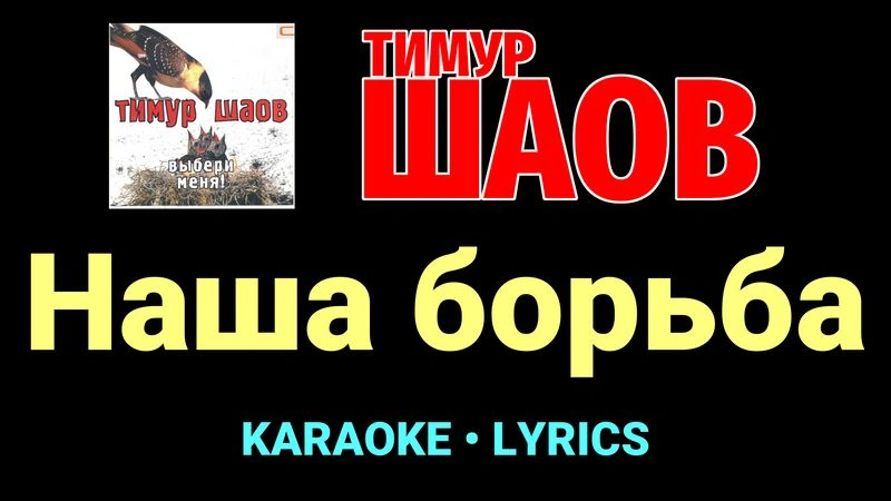 Наша борьба ★♫★ Тимур Шаов
