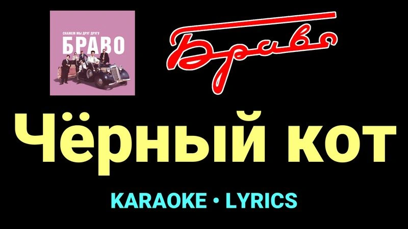 Чёрный кот ★♫★ Браво