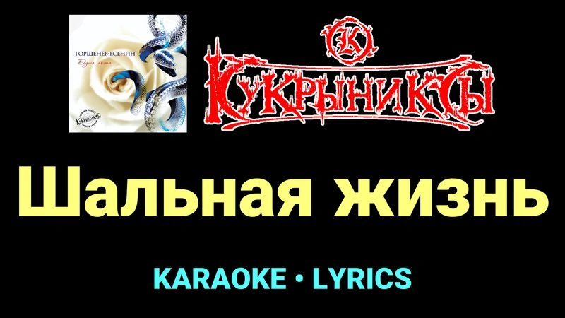 Шальная жизнь ★♫★ Кукрыниксы