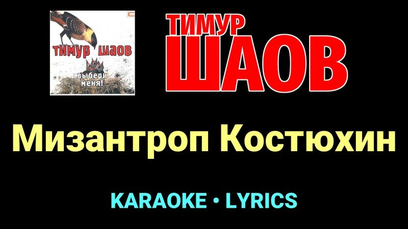 Мизантроп Костюхин ★♫★ Тимур Шаов