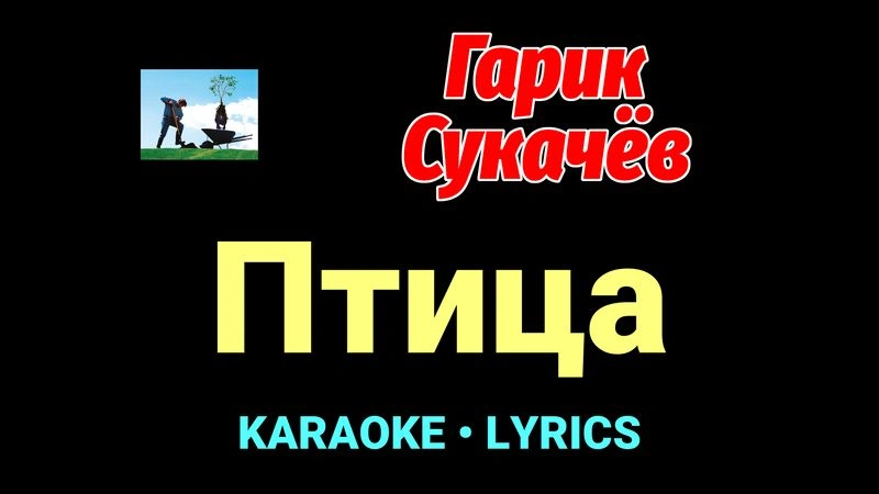 Птица ★♫★ Гарик Сукачёв