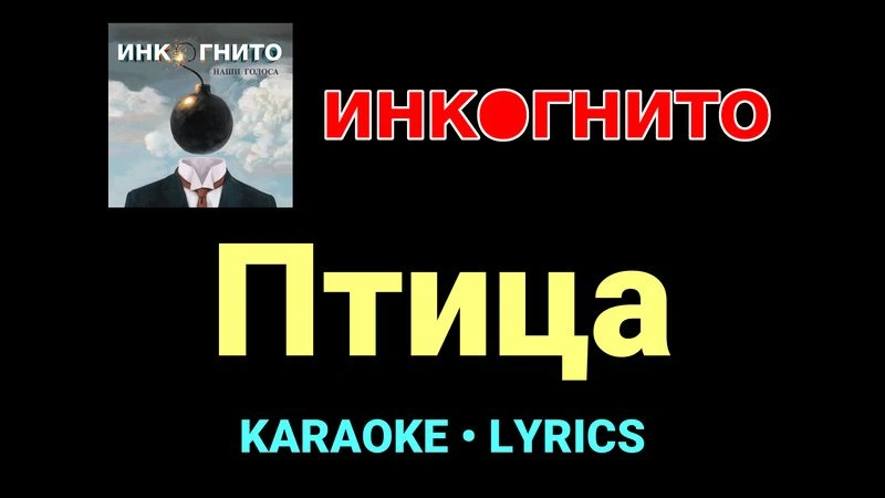 Птица ★♫★ Инкогнито