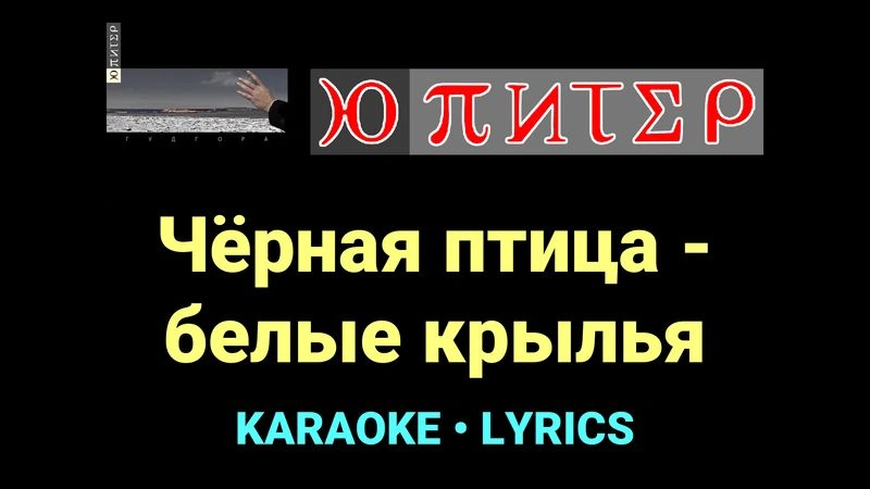 Чёрная птица - белые крылья ★♫★ Ю-Питер