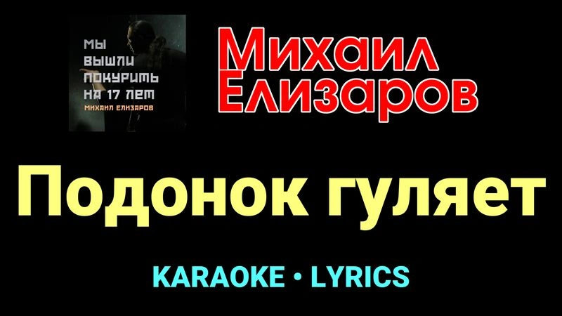 Подонок гуляет ★♫★ Михаил Елизаров
