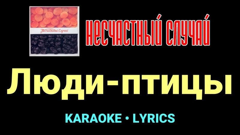 Люди-птицы ★♫★ Несчастный Случай
