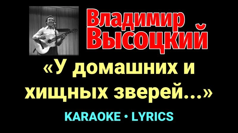 «У домашних и хищных зверей...» ★♫★ Владимир Высоцкий