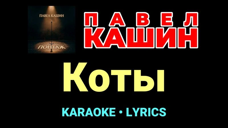 Коты ★♫★ Павел Кашин