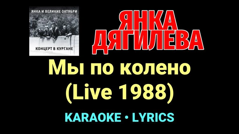 Мы по колено (Live 1988) ★♫★ Янка Дягилева