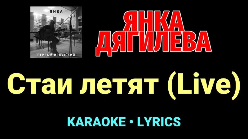 Стаи летят (Live) ★♫★ Янка Дягилева