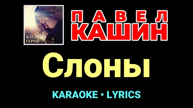 Слоны ★♫★ Павел Кашин