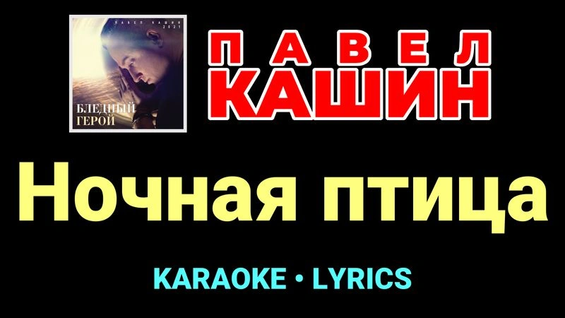 Ночная птица ★♫★ Павел Кашин