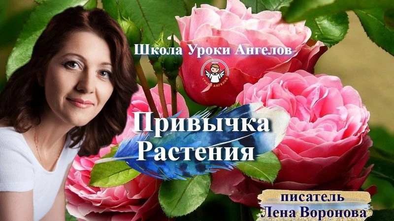80 привычка. Растения. Лена Воронова 13.10.2025