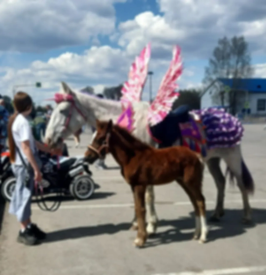 Подробности 26 октября /Ежедневник Ангелов